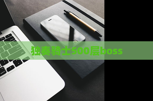 独奏骑士500层boss